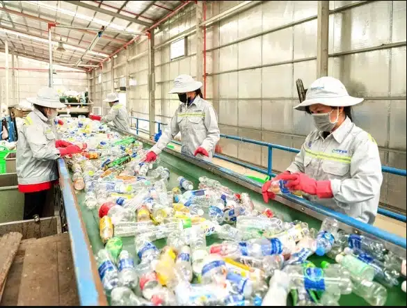 CFC Vietnam. Tổng quan ngành nhựa