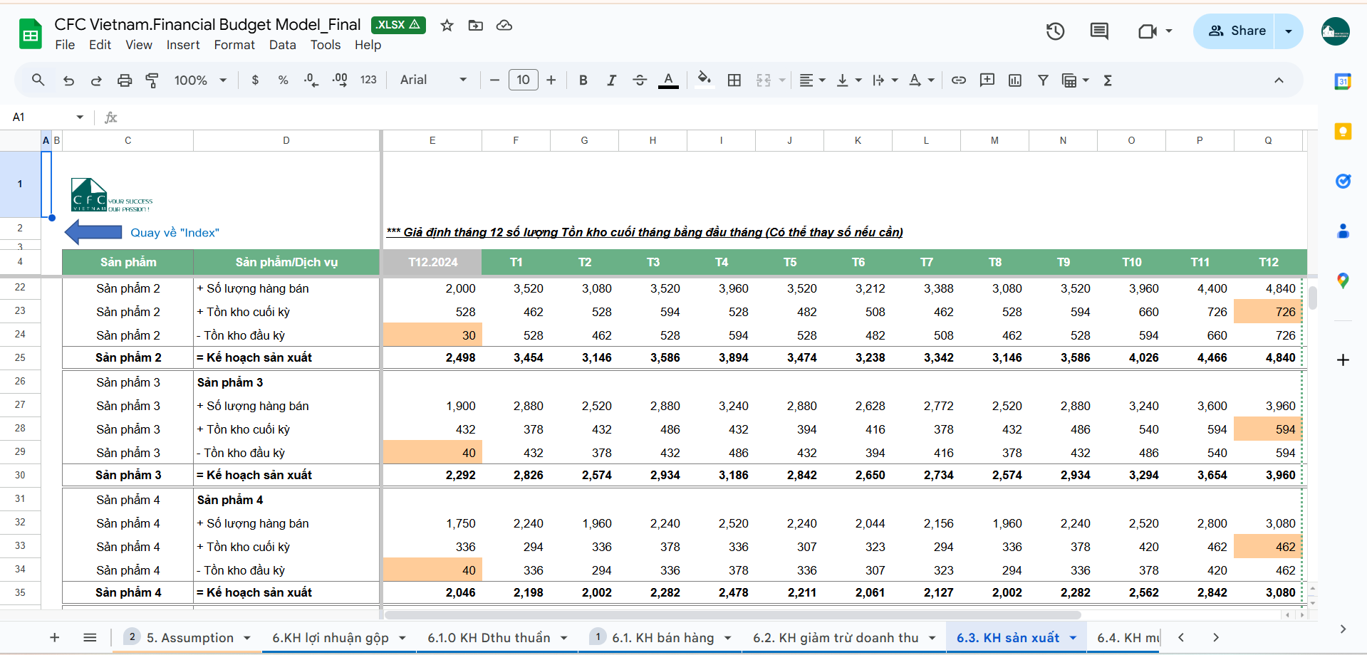 Financial Budget Model (Mẫu kế hoạch ngân sách)