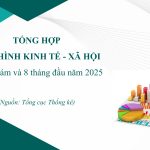 TỔNG HỢP TÌNH HÌNH KINH TẾ – XÃ HỘI 8 THÁNG ĐẦU NĂM 2025